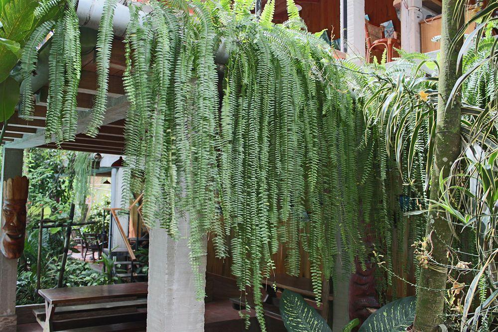 La Casa Fitzcarraldo 호텔 이키토스 외부 사진